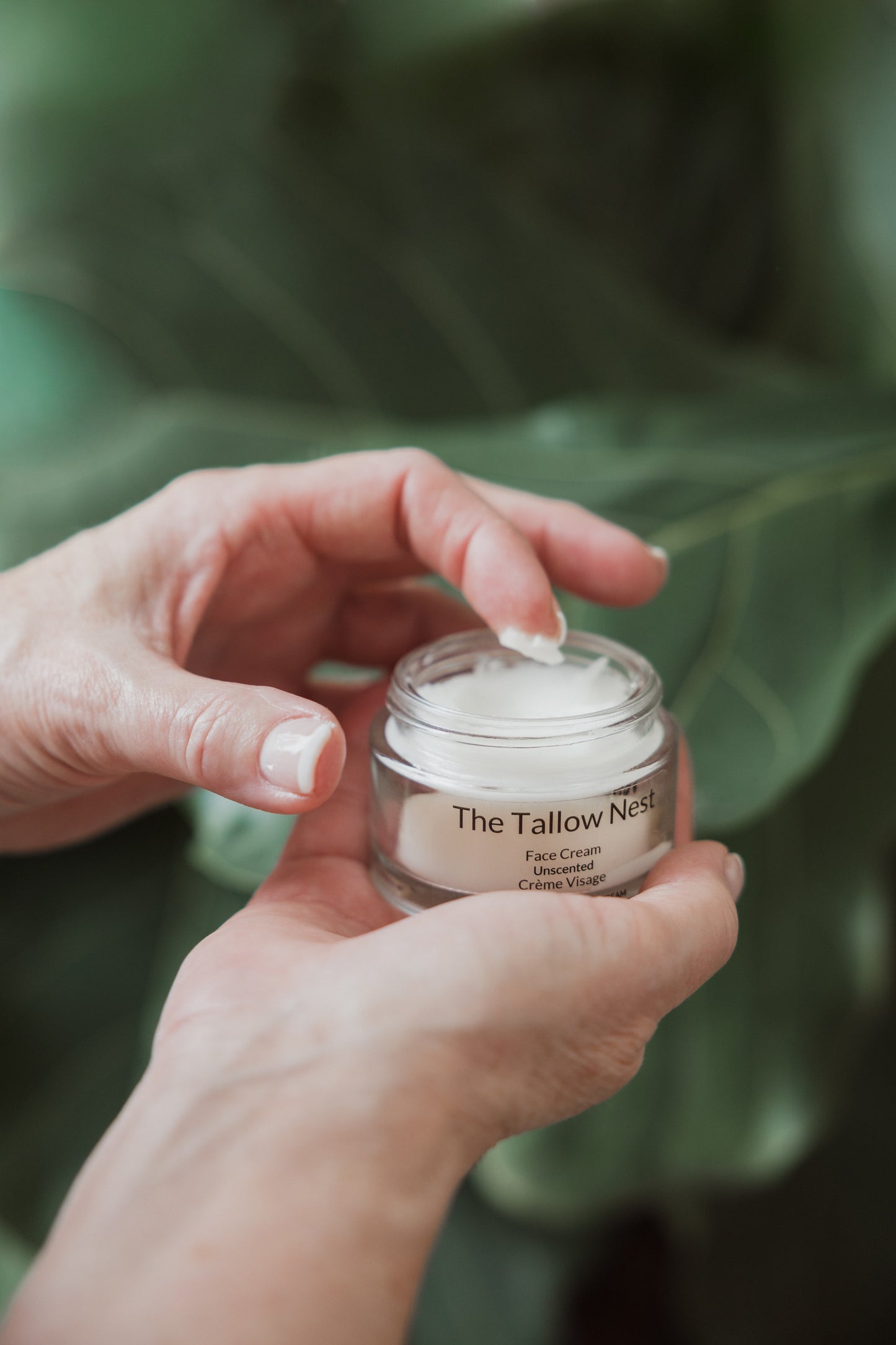 Tallow Face Cream